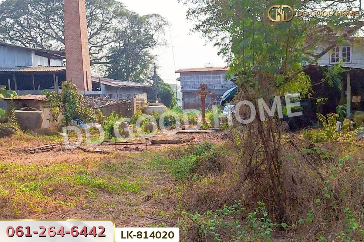 ขายที่ดินชัยนาท : DD-814020 ที่ดินสรรพยา 3 ไร่ 393.7 ตร.ว. ชัยนาท ใกล้บริษัทไทยน้ำทิพย์