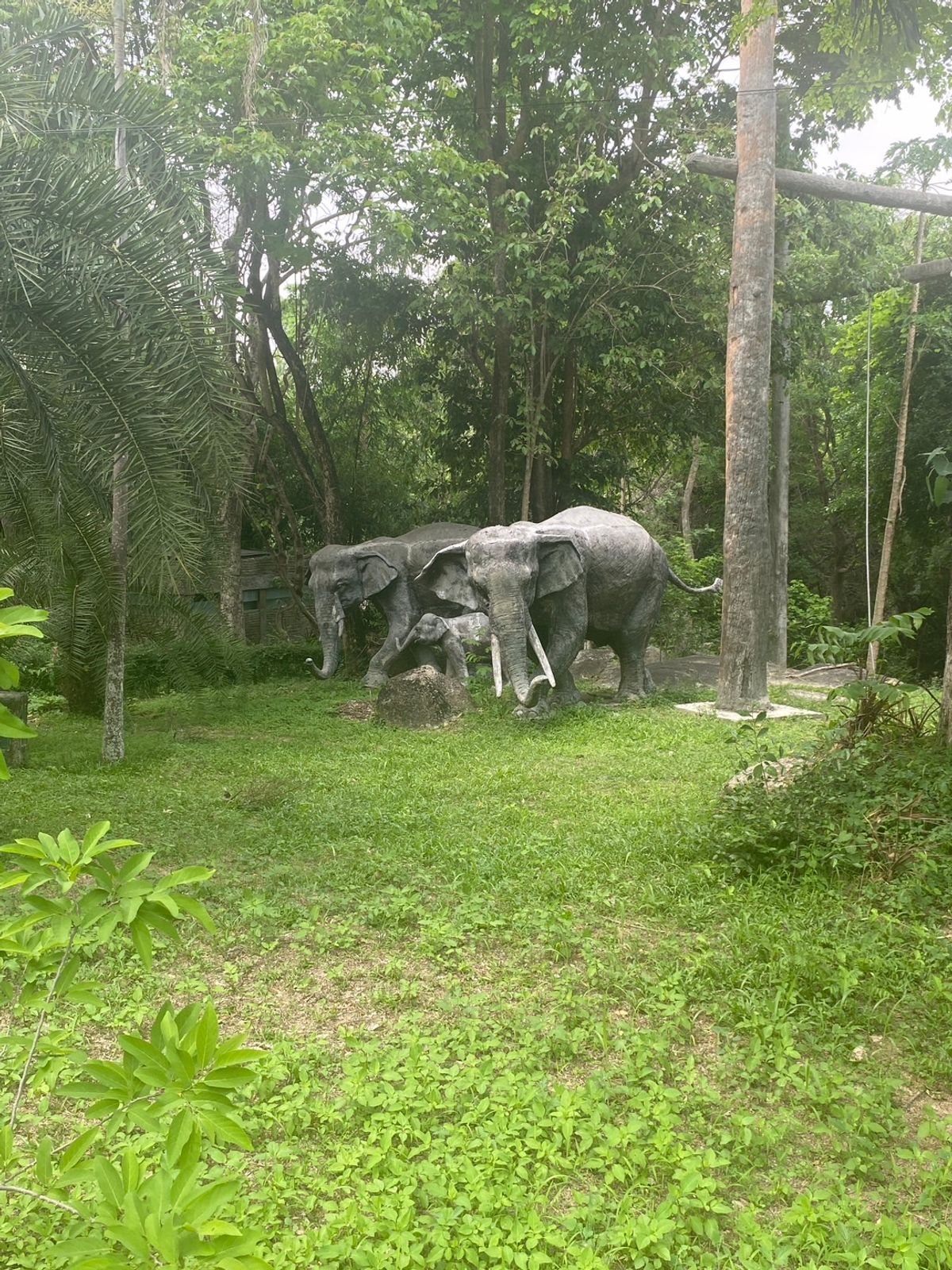 For SaleHotel&Apartment BusinessPattaya, Bangsaen, Chonburi : Camping Resort Sriracha-Khao Khiao Chon Buri