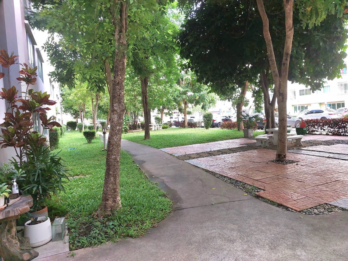 คอนโดพัทยา บางแสน ชลบุรี สัตหีบ : ขาย/เช่าคอนโด เดอะไรส์บี 30.07 ตรม. ชั้น 1 ขายพร้อมผู้เช่า ราคาต่ำกว่าประเมินกรมฯ หลังเซ็นทรัลชลบุรี