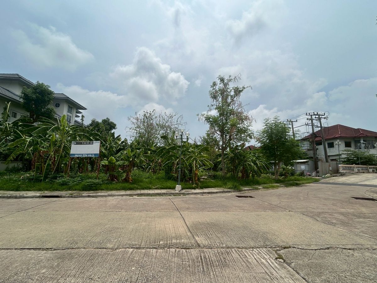 ขายที่ดินมีนบุรี-ร่มเกล้า : ที่ดินถนนรามคำแหง ติดถนนเมนกว้าง 16 ม. แปลงริม