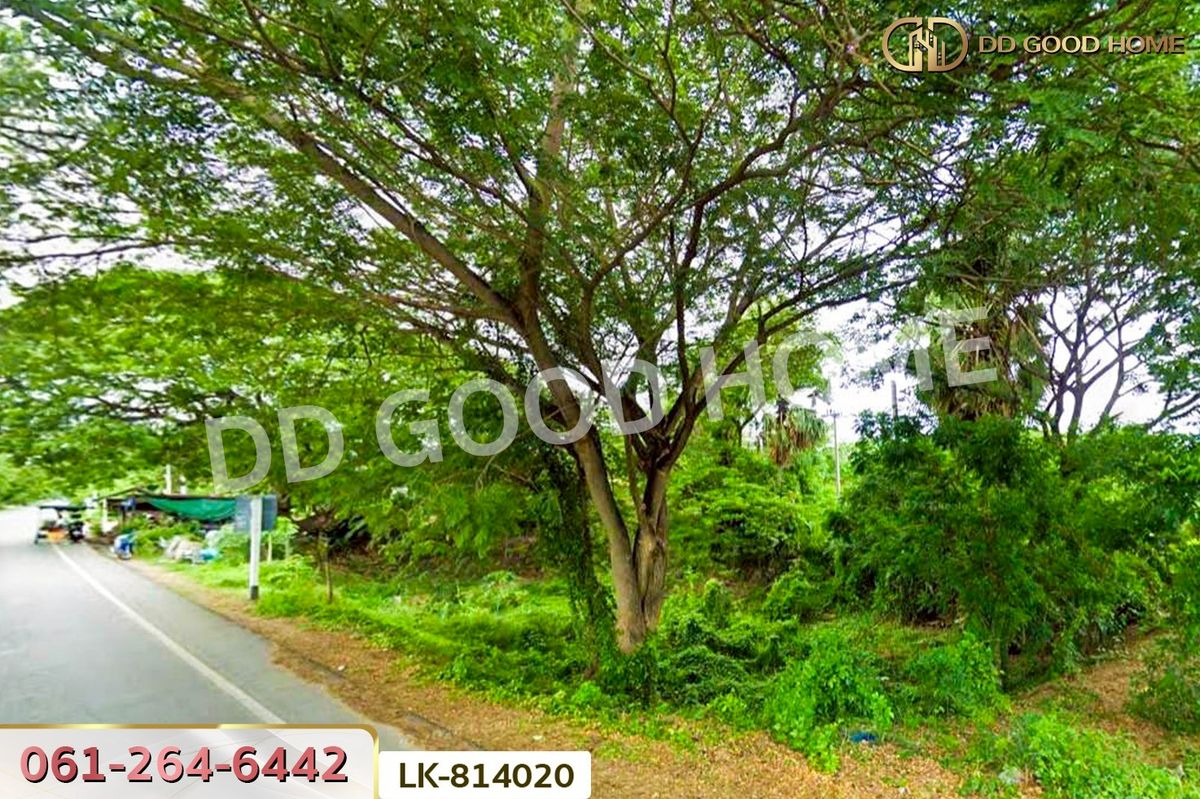 ขายที่ดินชัยนาท : DD-814020 ที่ดินสรรพยา 3 ไร่ 393.7 ตร.ว. ชัยนาท ใกล้บริษัทไทยน้ำทิพย์