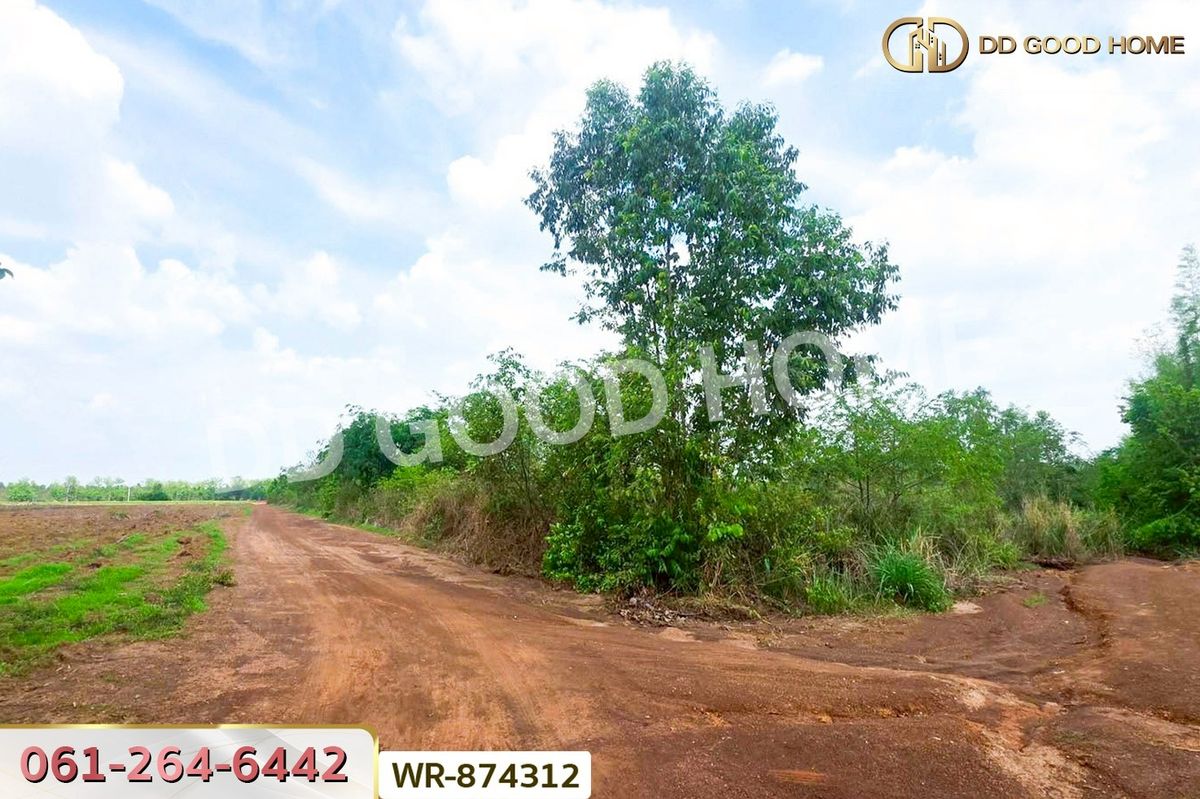 ขายที่ดินปราจีนบุรี : WR-874312 ที่ดินกบินทร์บุรี 17 ไร่ 74 ตร.ว. ปราจีนบุรี ใกล้สำนักงานเทศบาลตำบลเมืองเก่า