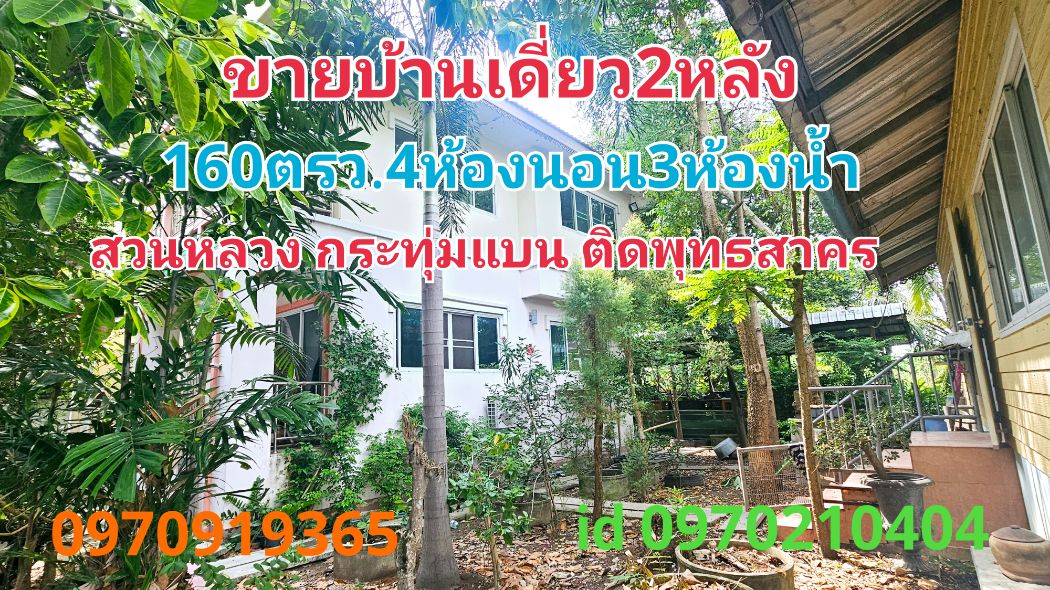ขายบ้านมหาชัย สมุทรสาคร : ขาย บ้านเดี่ยว 2หลัง บรรยากาศสวนเกษตรสวนหลวง 320 ตรม. 160 ตร.วา กระทุ่มแบน ติดถนนพุทธสาคร