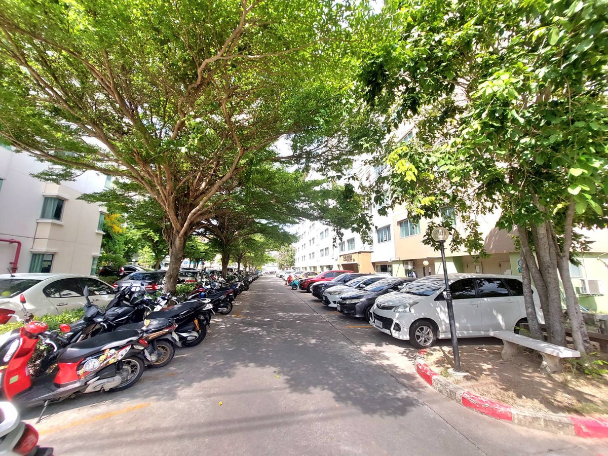 คอนโดพัทยา บางแสน ชลบุรี สัตหีบ : ขาย/เช่าคอนโด เดอะไรส์บี 30.07 ตรม. ชั้น 1 ขายพร้อมผู้เช่า ราคาต่ำกว่าประเมินกรมฯ หลังเซ็นทรัลชลบุรี