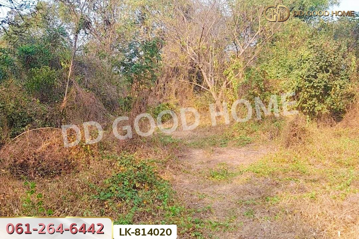 ขายที่ดินชัยนาท : DD-814020 ที่ดินสรรพยา 3 ไร่ 393.7 ตร.ว. ชัยนาท ใกล้บริษัทไทยน้ำทิพย์