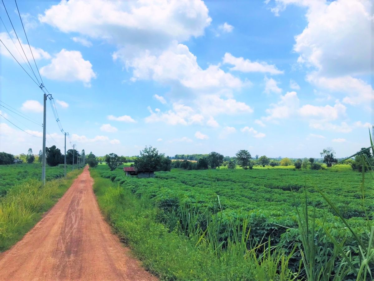 ขายที่ดินขอนแก่น : ขายที่ดิน ติดถนนมิตรภาพ 75 ไร่ ผังสีม่วง ฝั่งขาเข้ากรุงเทพฯ อ.น้ำพอง จ.ขอนแก่น เหมาะทำโรงงาน คลังสินค้า ใกล้ท่าเรือบก dry port