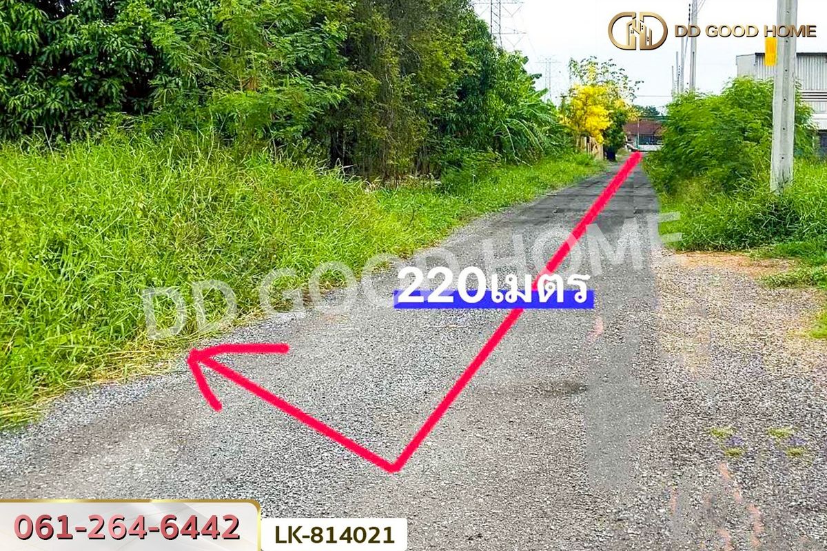 ขายที่ดินนนทบุรี บางใหญ่ บางบัวทอง : GF-814021 ที่ดินบางบัวทอง 323.6 ตร.ว. นนทบุรี ใกล้โรงเรียนคล้ายสอนศึกษา