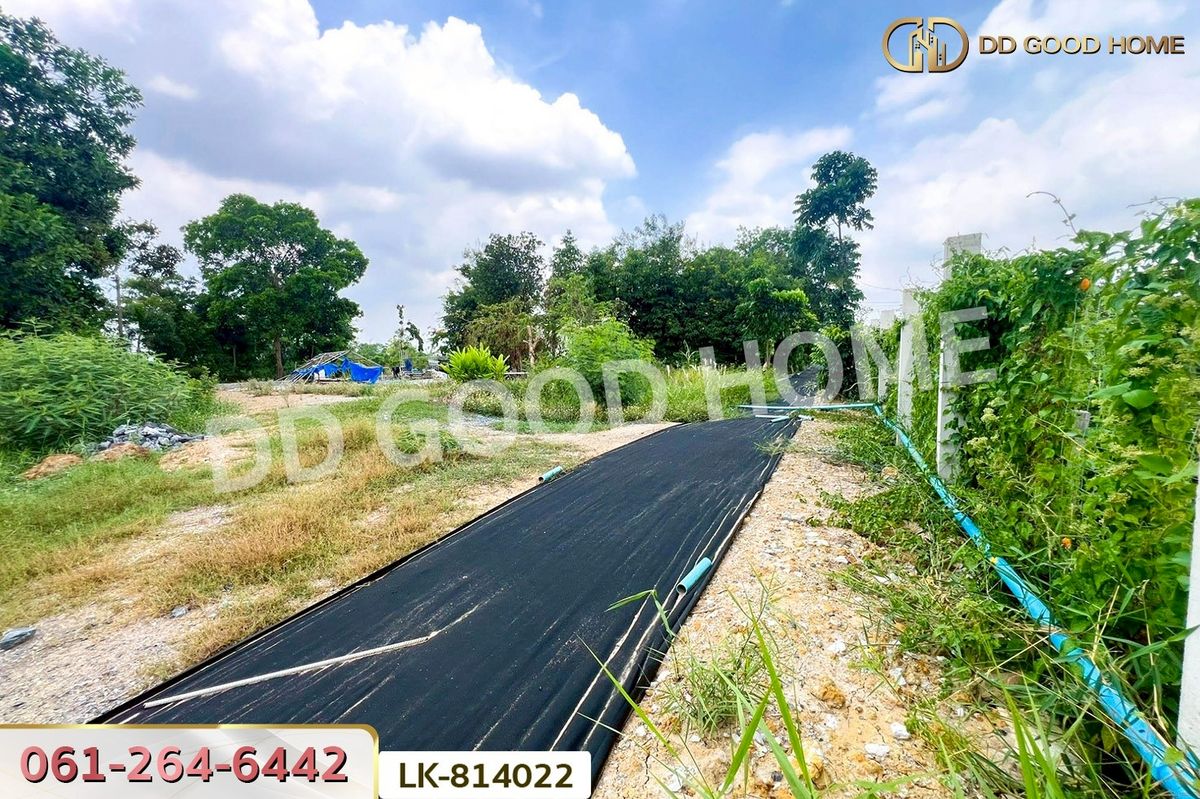 ขายที่ดินมีนบุรี-ร่มเกล้า : AW-814022 ที่ดินพร้อมสิ่งปลูกสร้างหนองจอก 2 ไร่ 62 ตร.ว. ถ.สุวินทวงศ์ 110 ใกล้สถานีตำรวจนครบาลสุวินทวงศ์