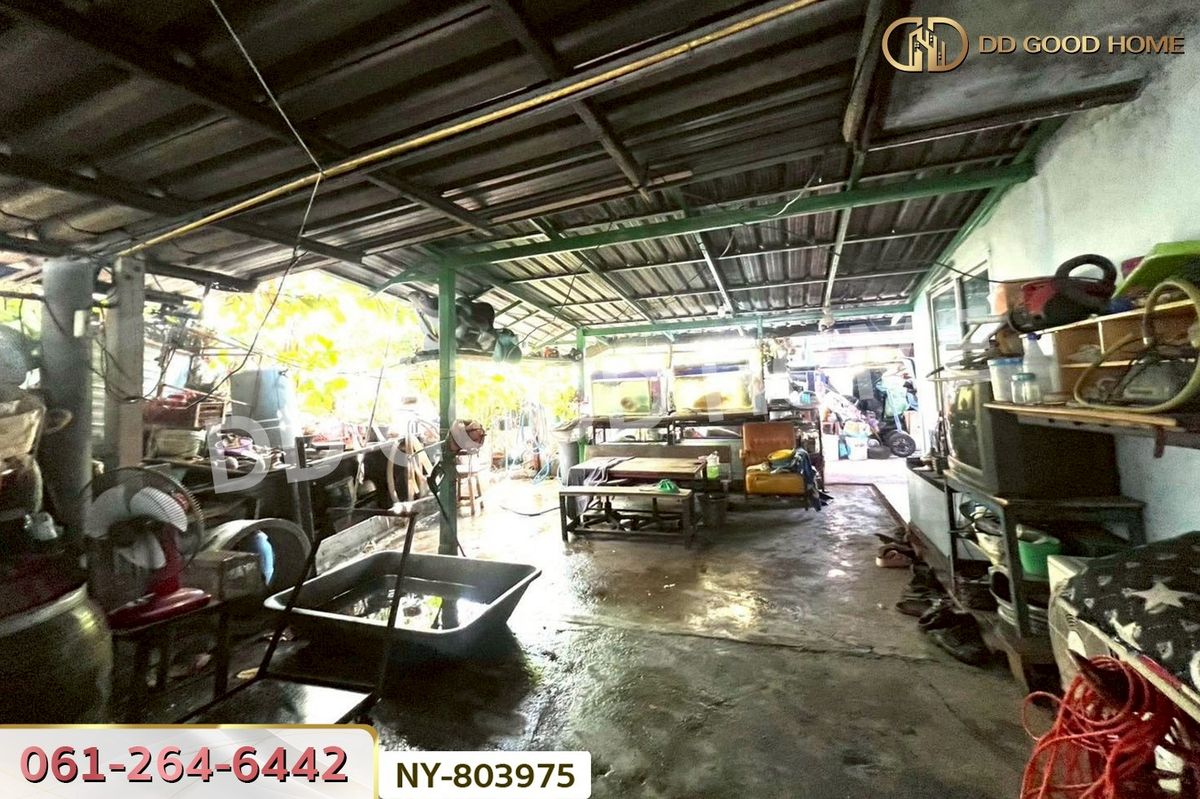 ขายบ้านฉะเชิงเทรา : NY-803975 บ้านเดี่ยว บางปะกง ถ.สุขุมวิทสายเก่า ฉะเชิงเทรา ใกล้ไทยฟู้ดส์ เฟรซ มาร์เก็ต