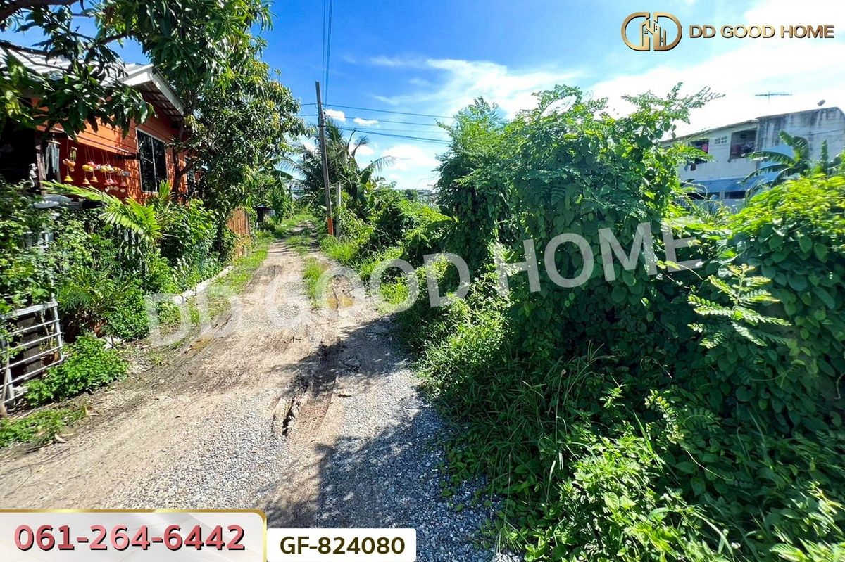 ขายที่ดินเกษตรศาสตร์ รัชโยธิน : GF-824080 ที่ดินบางเขน 114 ตร.ว. ซ.โกสุมรวมใจ ใกล้วัดเวฬุวนาราม (วัดไผ่เขียว)