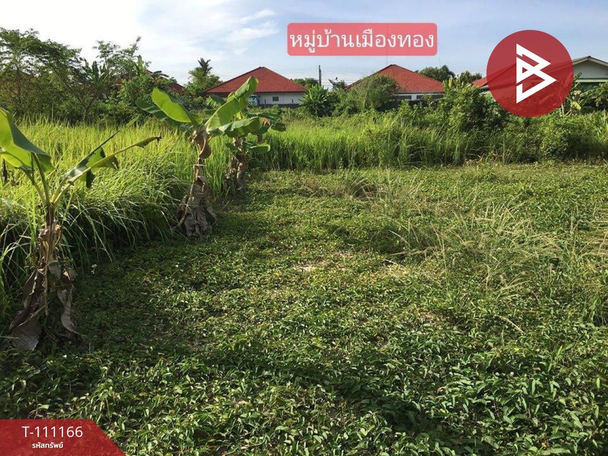 ขายที่ดินนครศรีธรรมราช : ขายที่ดิน เนื้อที่ 90.3 ตร.วา ปากนคร นครศรีธรรมราช
