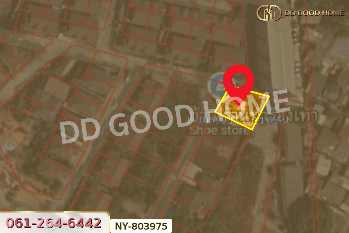 ขายบ้านฉะเชิงเทรา : NY-803975 บ้านเดี่ยว บางปะกง ถ.สุขุมวิทสายเก่า ฉะเชิงเทรา ใกล้ไทยฟู้ดส์ เฟรซ มาร์เก็ต