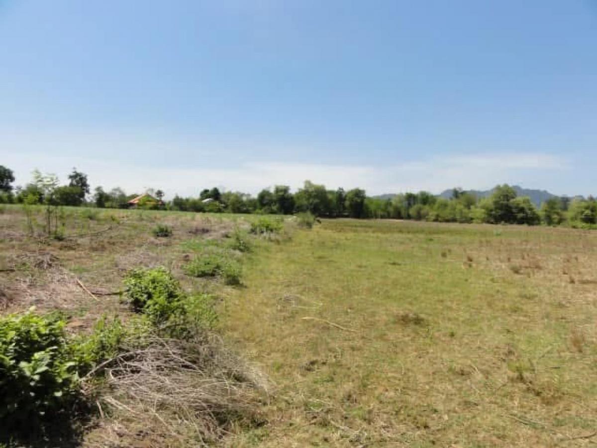 For RentLandKanchanaburi : At Kwai Yai, Kanchanaburi on the road