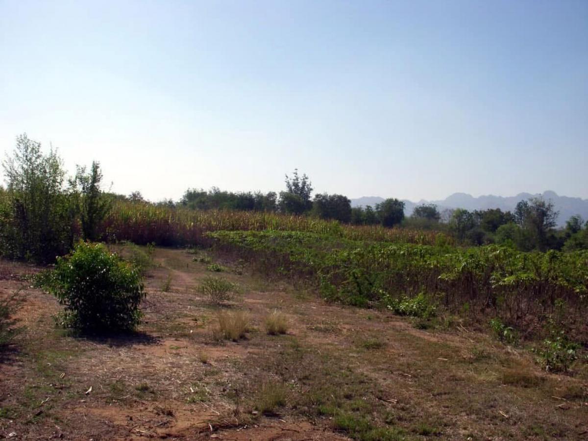 For RentLandKanchanaburi : At Kwai Yai, Kanchanaburi on the road