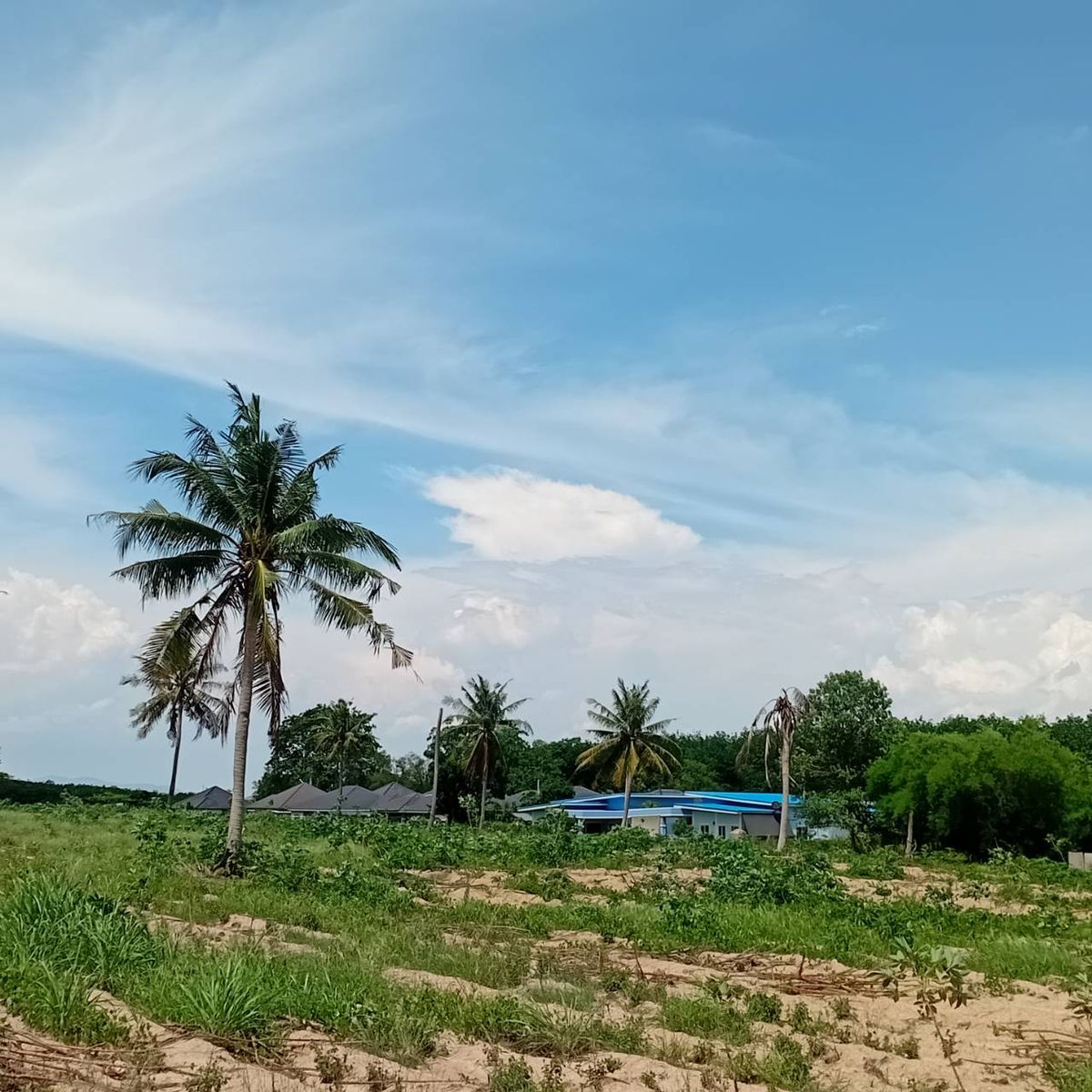 ขายที่ดินระยอง : ขายที่ดิน ติดโรงพยาบาลนิคมพัฒนา 6 ไร่ (พื้นที่สีม่วงลาย) ถนนสาย13 ตำบลพนานิคม อำเภอนิคมพัฒนา ระยอง (รหัสทรัพย์ LW2-15)
