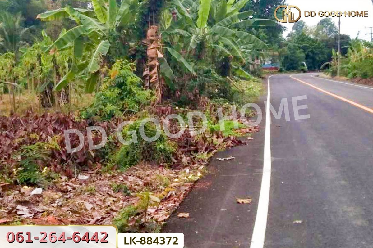 ขายที่ดินนครสวรรค์ : LU-884372 ที่ดินชุมแสง 2 ไร่ 171 ตร.ว. นครสวรรค์ ใกล้วัดดงกะพี้