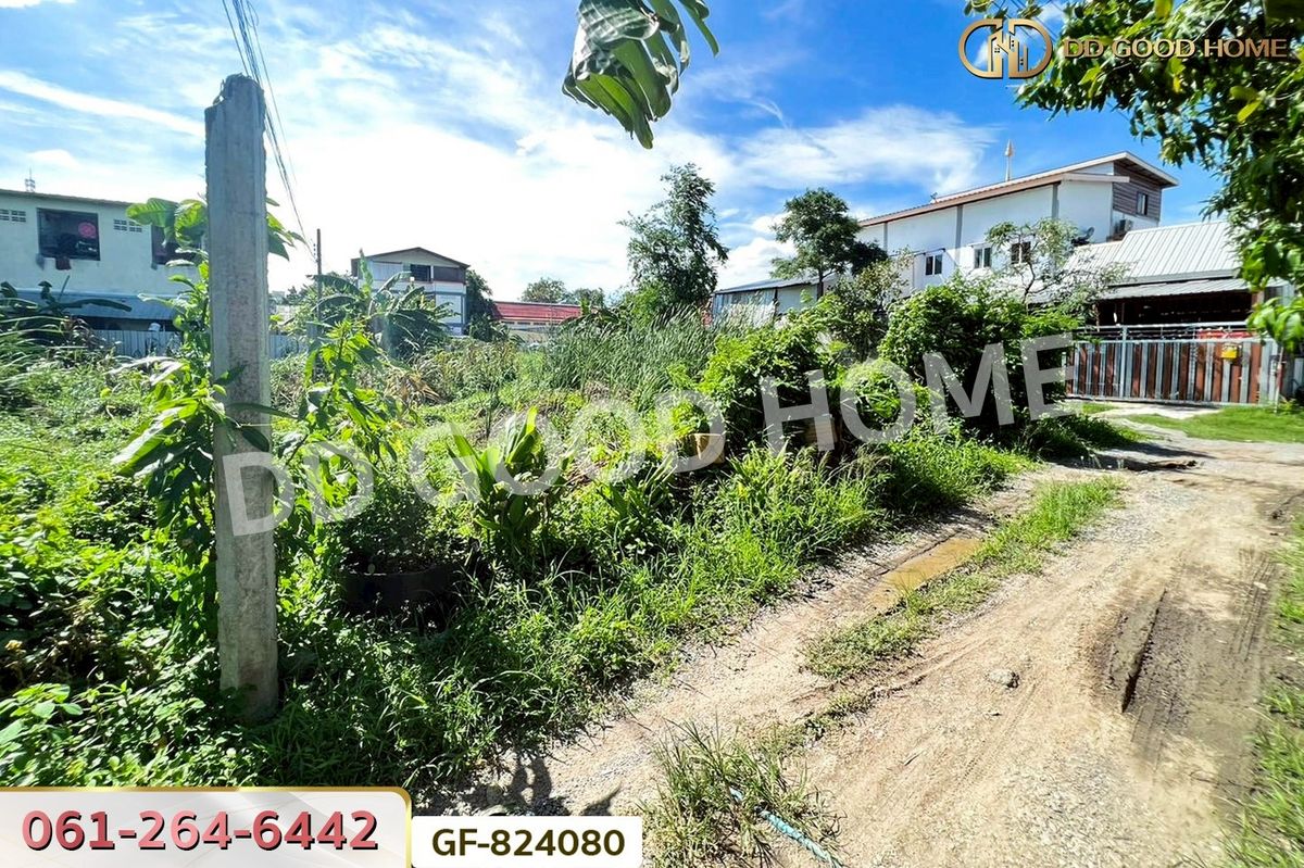 ขายที่ดินเกษตรศาสตร์ รัชโยธิน : GF-824080 ที่ดินบางเขน 114 ตร.ว. ซ.โกสุมรวมใจ ใกล้วัดเวฬุวนาราม (วัดไผ่เขียว)