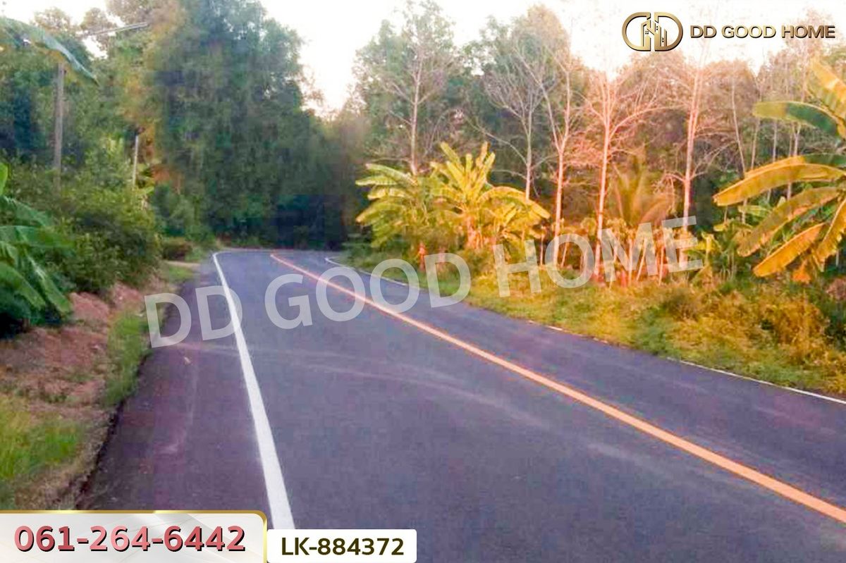 ขายที่ดินนครสวรรค์ : LU-884372 ที่ดินชุมแสง 2 ไร่ 171 ตร.ว. นครสวรรค์ ใกล้วัดดงกะพี้