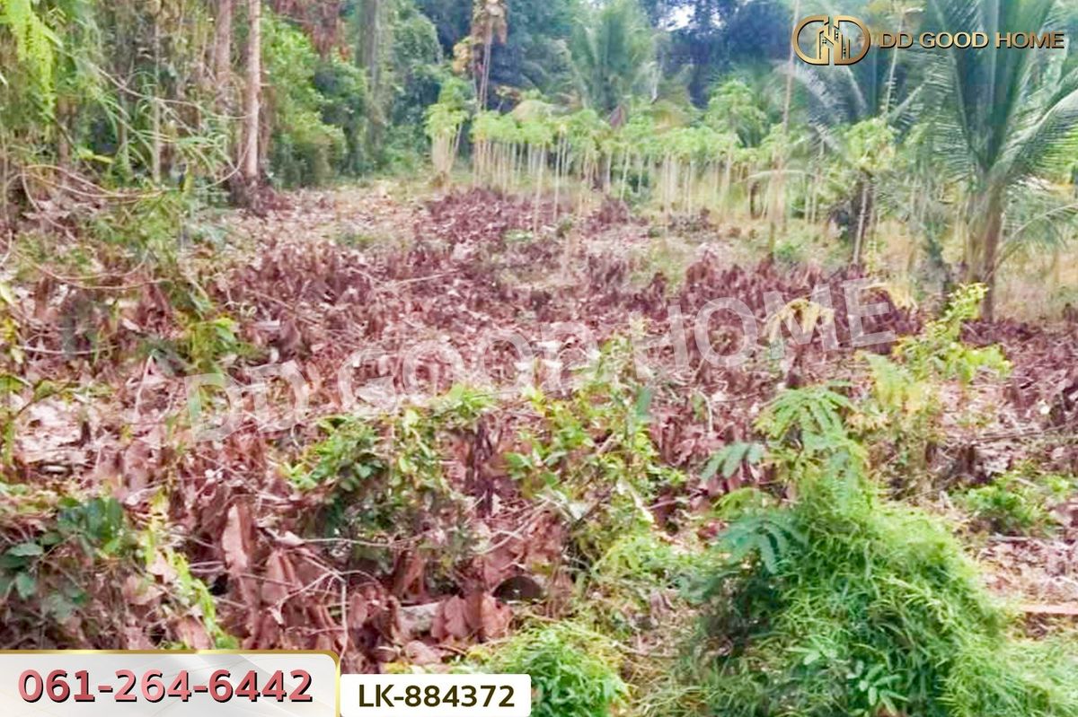 ขายที่ดินนครสวรรค์ : LU-884372 ที่ดินชุมแสง 2 ไร่ 171 ตร.ว. นครสวรรค์ ใกล้วัดดงกะพี้