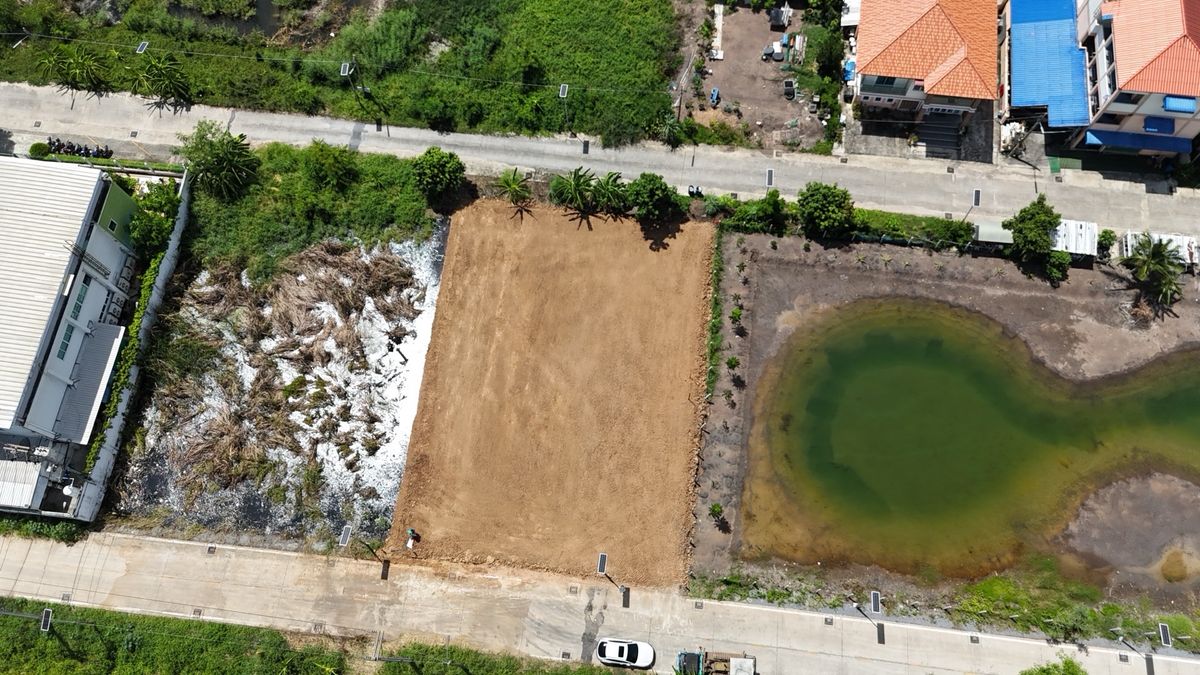 ขายที่ดินปทุมธานี รังสิต ธรรมศาสตร์ : ที่ดินเปล่า 206ตรว.  ซอยคลองหลวง8 ใกล้ฟิวเจอร์3.5km  (เจ้าของขายเอง)