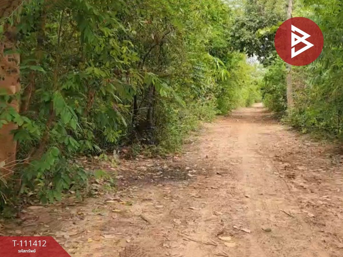 ขายที่ดินนครพนม : ขายที่ดิน เนื้อที่ 1 ไร่ 2 งาน 61 ตร.วา นาหว้า นครพนม