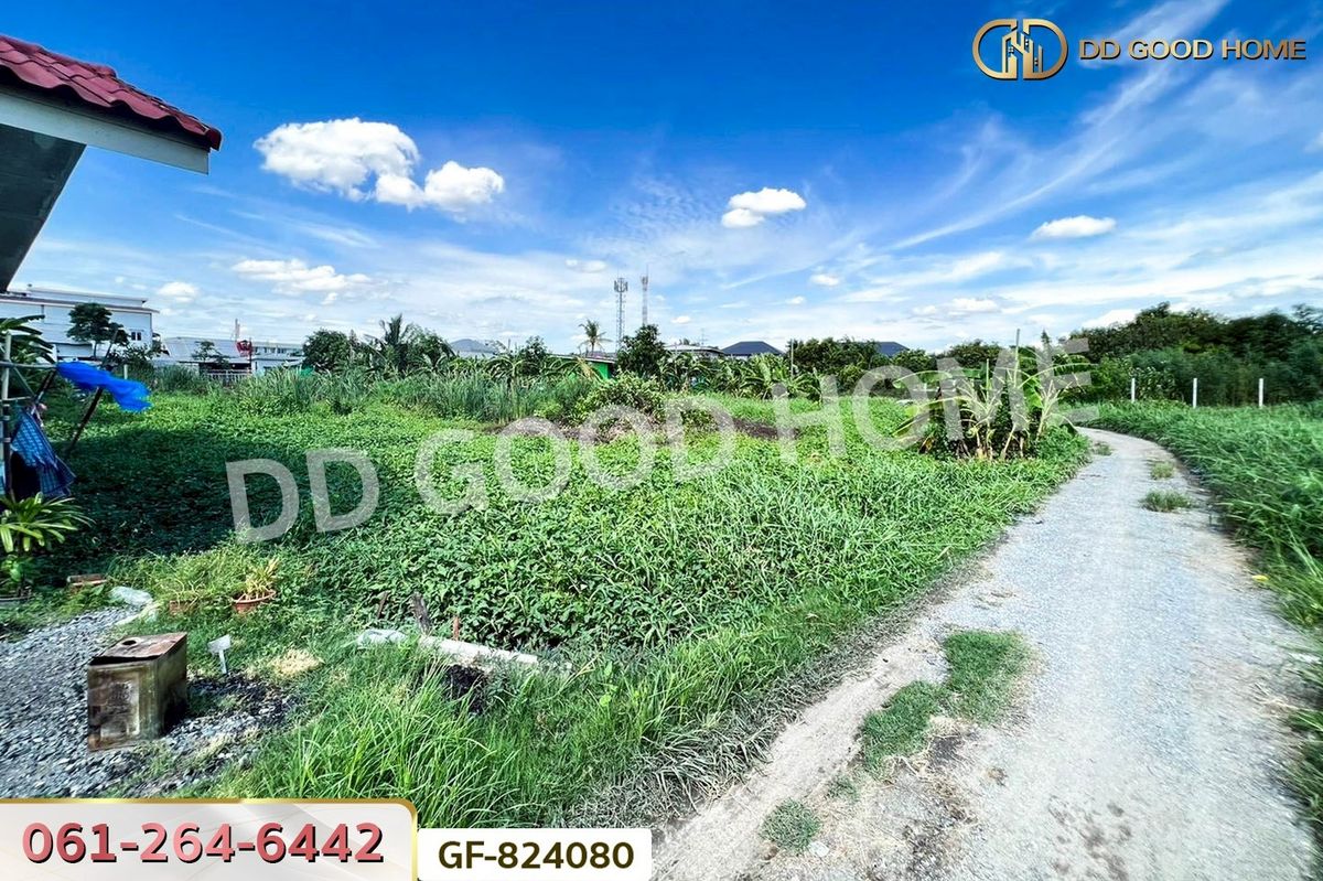 ขายที่ดินเกษตรศาสตร์ รัชโยธิน : GF-824080 ที่ดินบางเขน 114 ตร.ว. ซ.โกสุมรวมใจ ใกล้วัดเวฬุวนาราม (วัดไผ่เขียว)