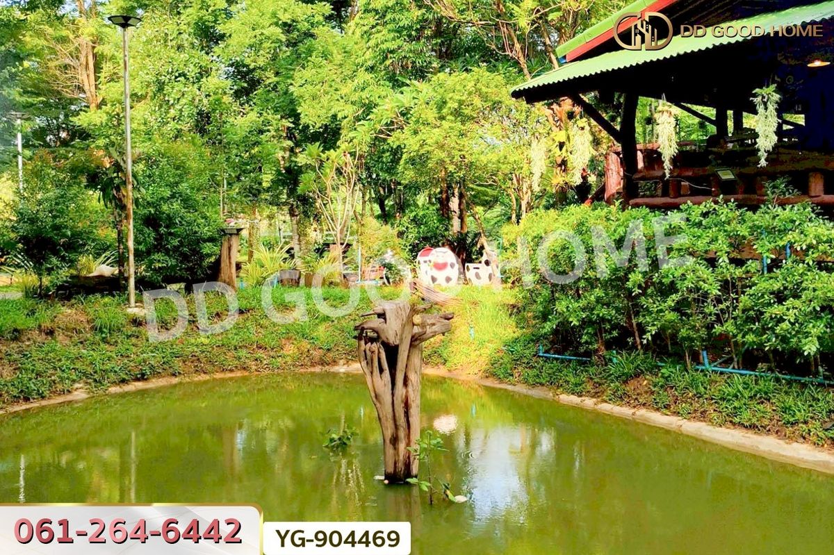 ขายที่ดินกาญจนบุรี : DD-904469 ที่ดินพร้อมสิ่งปลูกสร้างไทรโยค 1 ไร่ 342.2 ตร.ว. กาญจนบุรี ใกล้วัดเขาน้อยชินราช