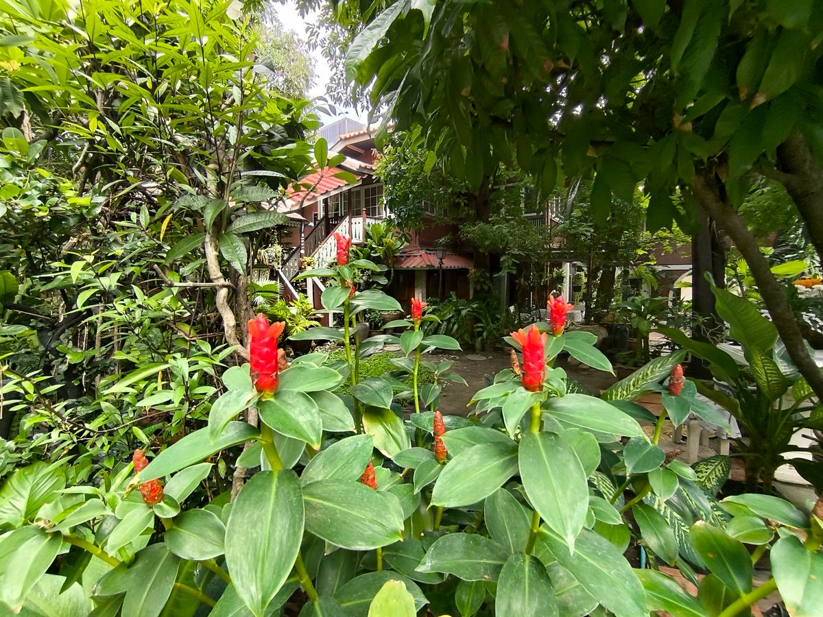 ขายบ้านราชเทวี พญาไท : บ้านเดี่ยวเนื้อที่ 446 ตรว. ใจกลางเมือง เหมาะสำหรับลงทุน