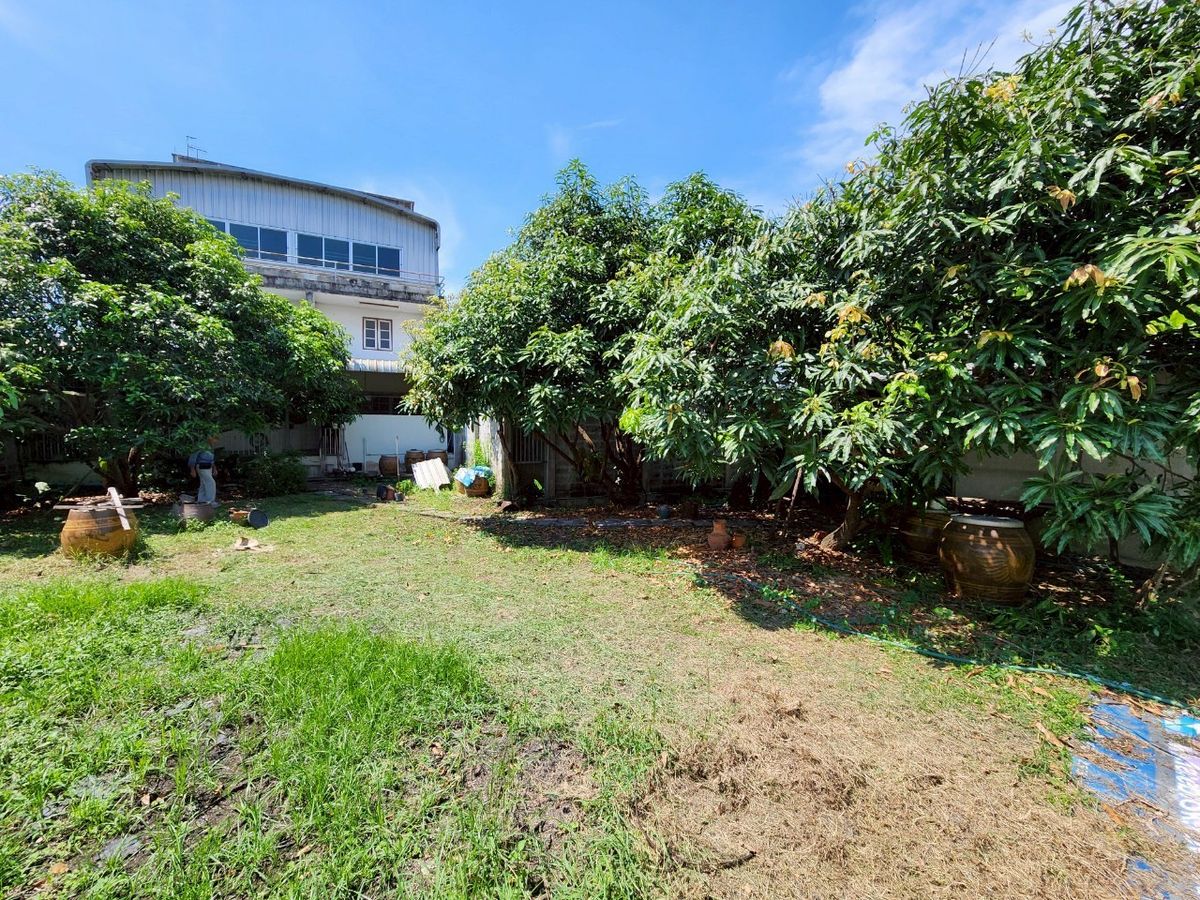 For SaleShop HousePinklao, Charansanitwong : For sale: 4-storey commercial building with vacant land, on Phra Borom Road, size 278 sq.w., with a building on 106 sq.w. of land, vacant land with no buildings, 172 sq.w.