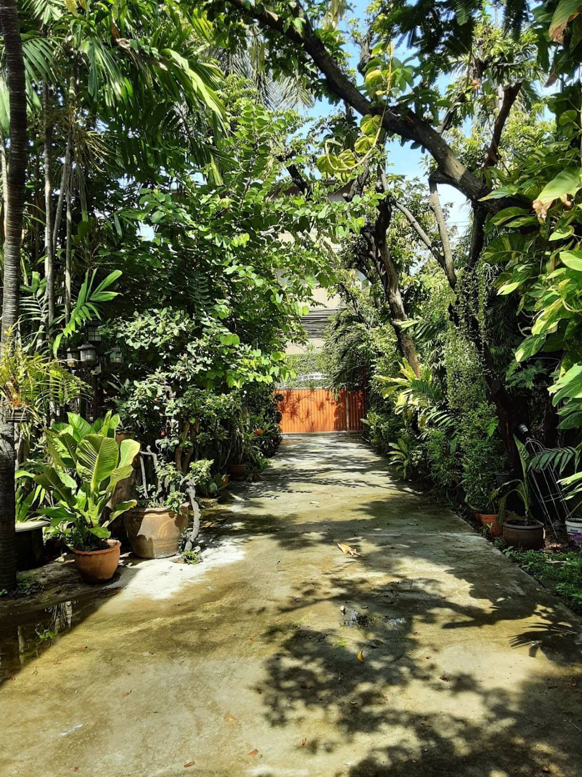 ขายบ้านราชเทวี พญาไท : บ้านเดี่ยวเนื้อที่ 446 ตรว. ใจกลางเมือง เหมาะสำหรับลงทุน