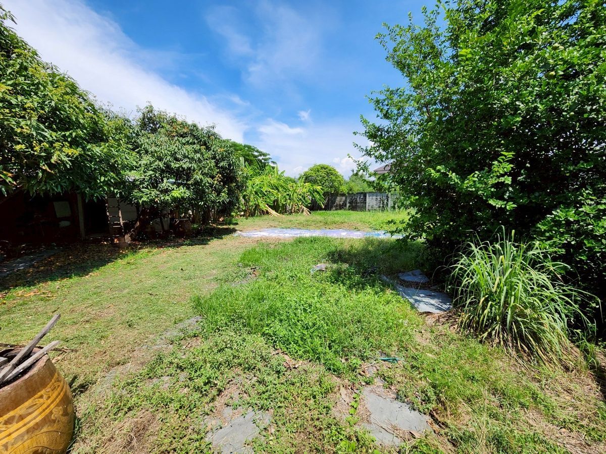 For SaleShop HousePinklao, Charansanitwong : For sale: 4-storey commercial building with vacant land, on Phra Borom Road, size 278 sq.w., with a building on 106 sq.w. of land, vacant land with no buildings, 172 sq.w.