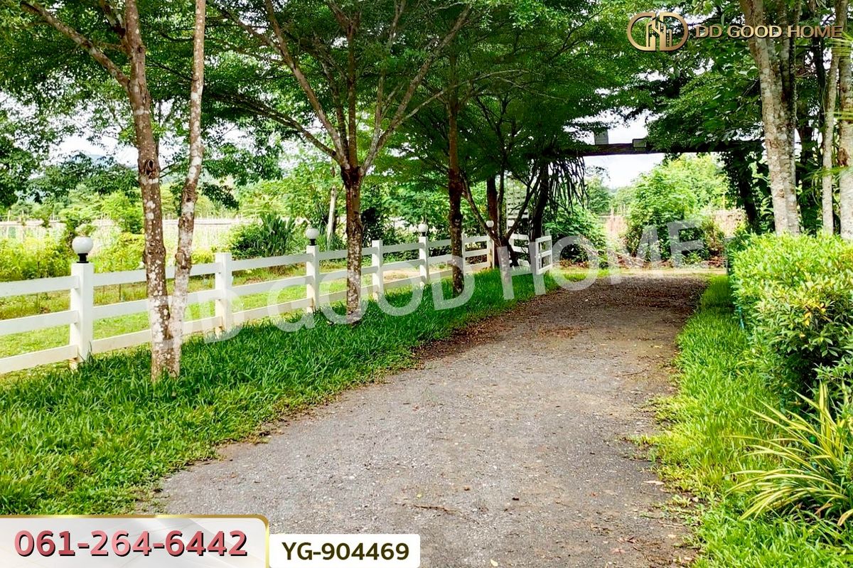 ขายที่ดินกาญจนบุรี : DD-904469 ที่ดินพร้อมสิ่งปลูกสร้างไทรโยค 1 ไร่ 342.2 ตร.ว. กาญจนบุรี ใกล้วัดเขาน้อยชินราช