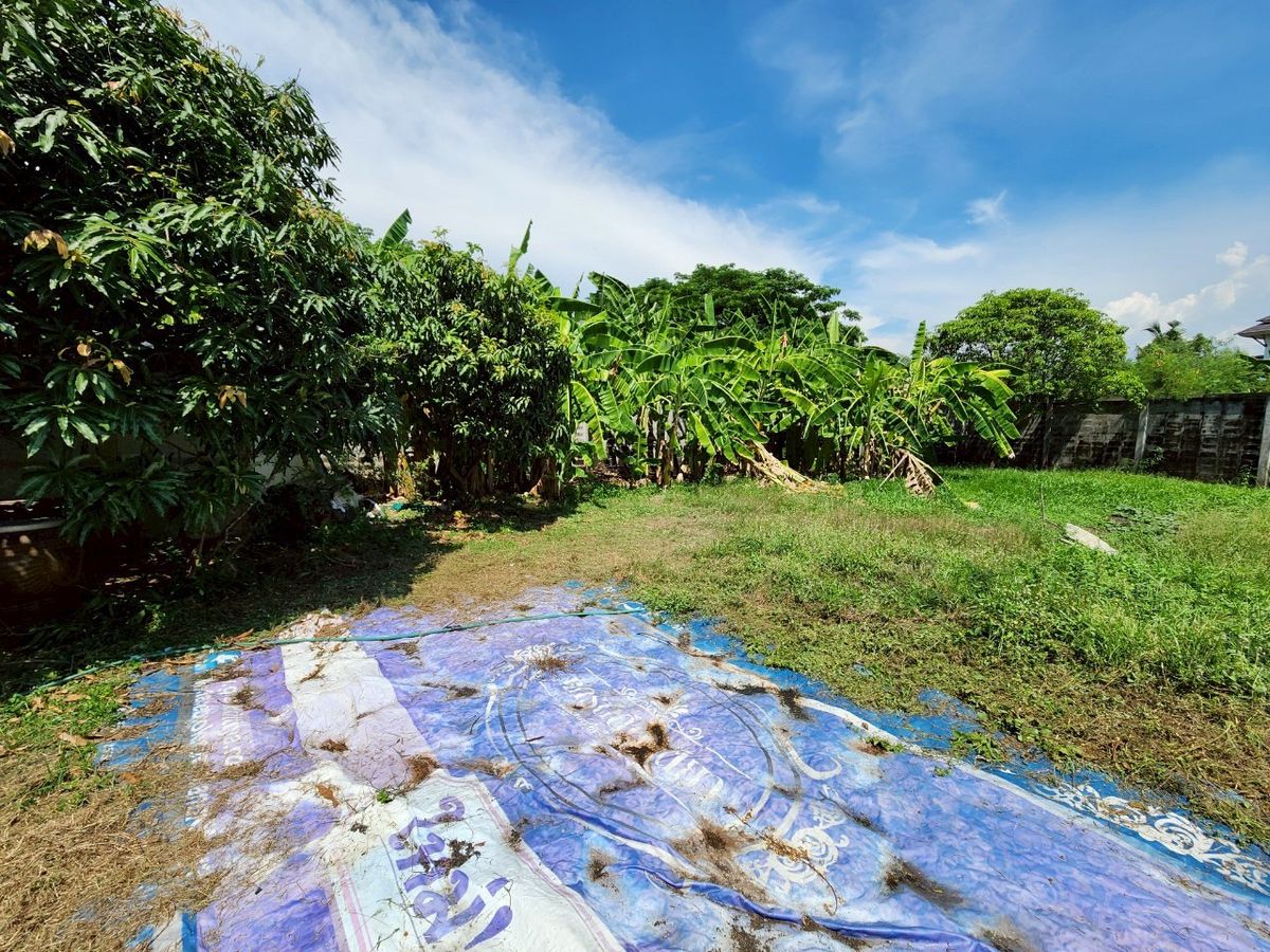 For SaleShop HousePinklao, Charansanitwong : For sale: 4-storey commercial building with vacant land, on Phra Borom Road, size 278 sq.w., with a building on 106 sq.w. of land, vacant land with no buildings, 172 sq.w.