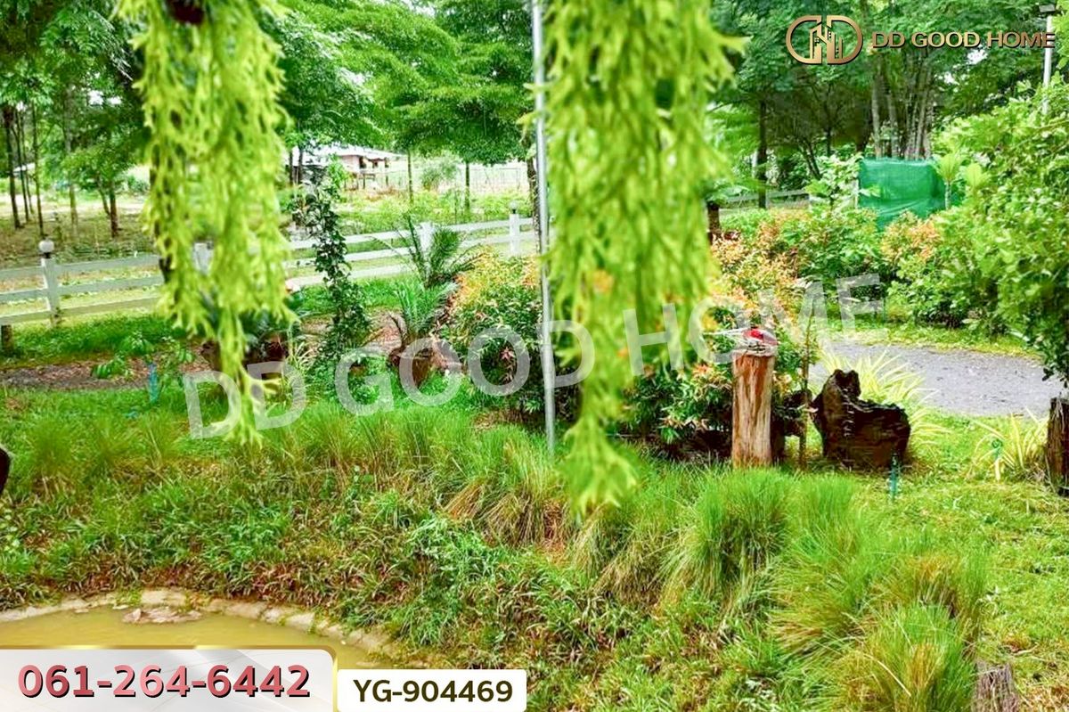 ขายที่ดินกาญจนบุรี : DD-904469 ที่ดินพร้อมสิ่งปลูกสร้างไทรโยค 1 ไร่ 342.2 ตร.ว. กาญจนบุรี ใกล้วัดเขาน้อยชินราช