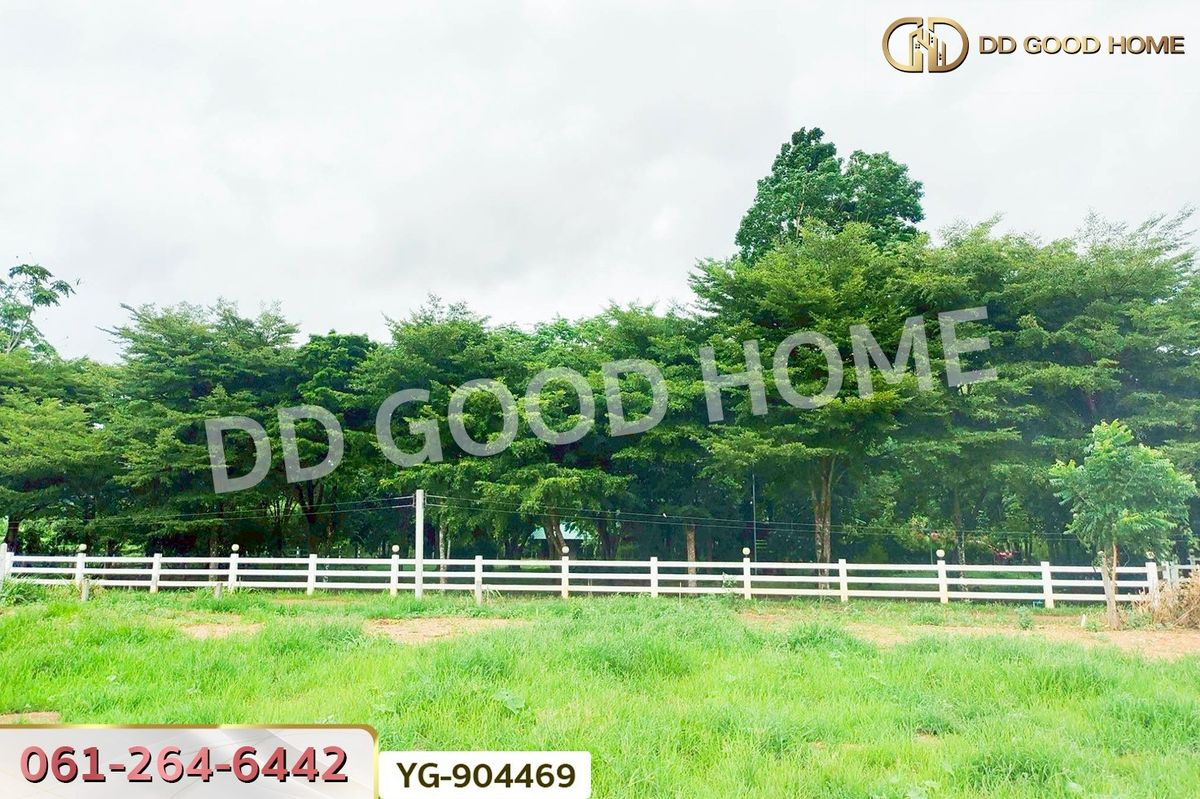 ขายที่ดินกาญจนบุรี : DD-904469 ที่ดินพร้อมสิ่งปลูกสร้างไทรโยค 1 ไร่ 342.2 ตร.ว. กาญจนบุรี ใกล้วัดเขาน้อยชินราช