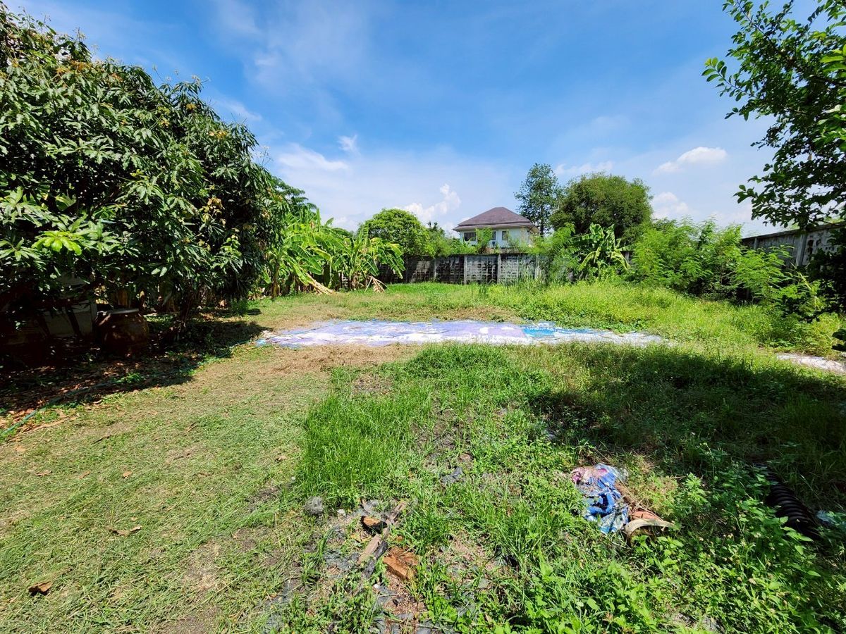 For SaleShop HousePinklao, Charansanitwong : For sale: 4-storey commercial building with vacant land, on Phra Borom Road, size 278 sq.w., with a building on 106 sq.w. of land, vacant land with no buildings, 172 sq.w.