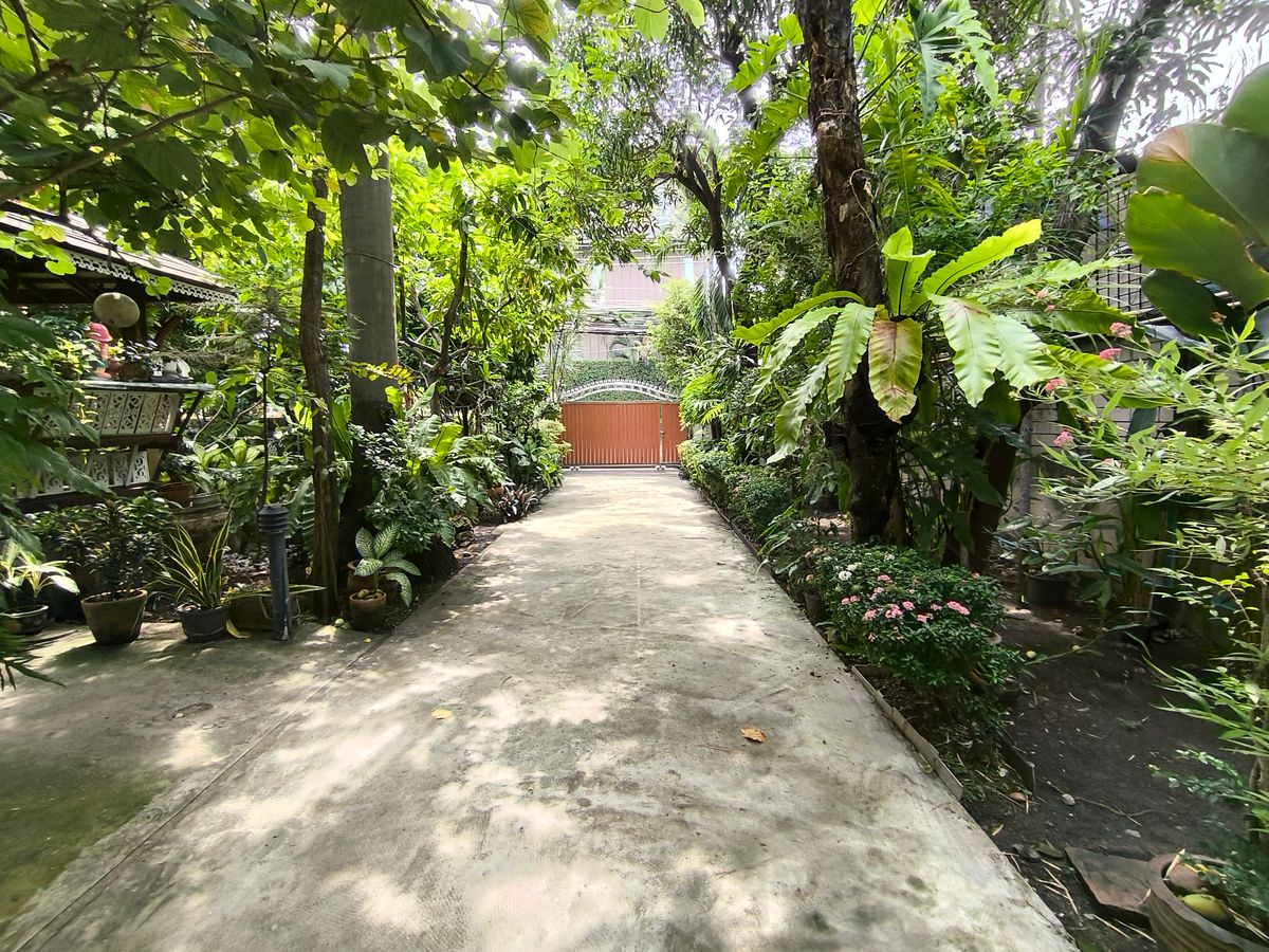 ขายบ้านราชเทวี พญาไท : บ้านเดี่ยวเนื้อที่ 446 ตรว. ใจกลางเมือง เหมาะสำหรับลงทุน