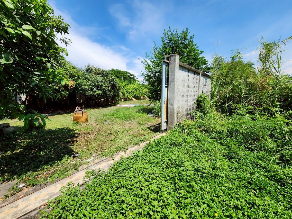 For SaleShop HousePinklao, Charansanitwong : For sale: 4-storey commercial building with vacant land, on Phra Borom Road, size 278 sq.w., with a building on 106 sq.w. of land, vacant land with no buildings, 172 sq.w.