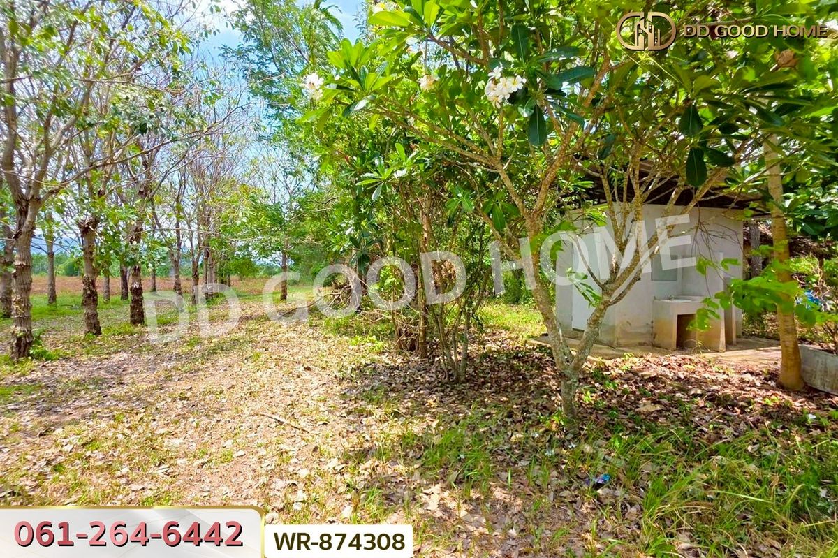 ขายที่ดินปราจีนบุรี : WR-874308 ที่ดินนาดี 27 ไร่ 389 ตร.ว. ปราจีนบุรี ใกล้อุทยานแห่งชาติทับลาน