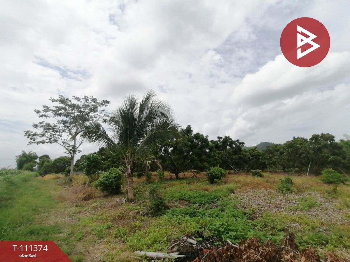 ขายที่ดินจันทบุรี : ขายที่ดิน เนื้อที่ 2 ไร่ เขาแดง อ.สอยดาว จันทบุรี