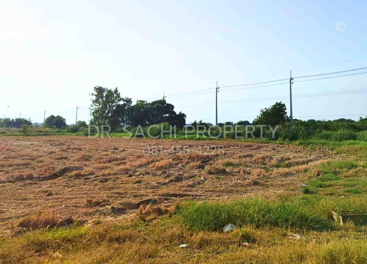 ขายที่ดินฉะเชิงเทรา : ขายที่ดินสวย ติดถนนตลาดปองพล 29-1-0 ไร่ แปลงมุม ติดถนน 2 ด้าน อ.เมือง จ.ฉะเชิงเทรา