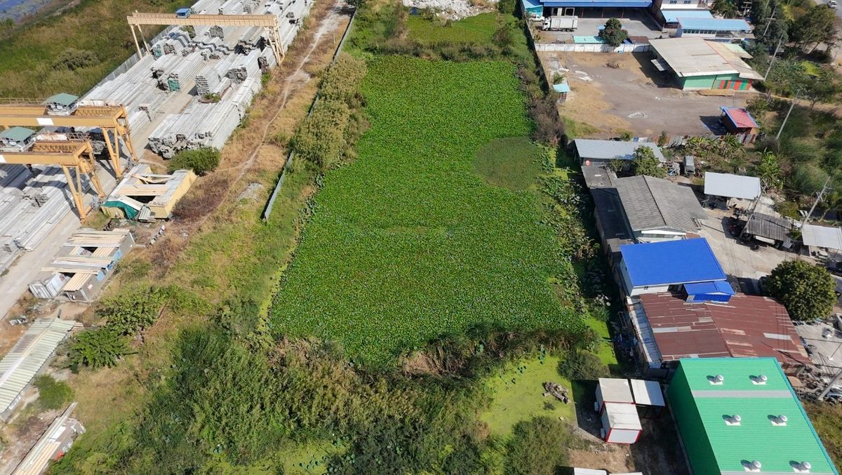 ให้เช่าที่ดินปทุมธานี รังสิต ธรรมศาสตร์ : 🔥 ให้เช่าที่ดิน 200 ตร.ว. ทำเลทอง! ติดถนนคันคลองนครหลวง บางปะอิน - สุดยอดจุดเชื่อมโลจิสติกส์ 4 ภาค ใกล้ทางด่วน! ✨