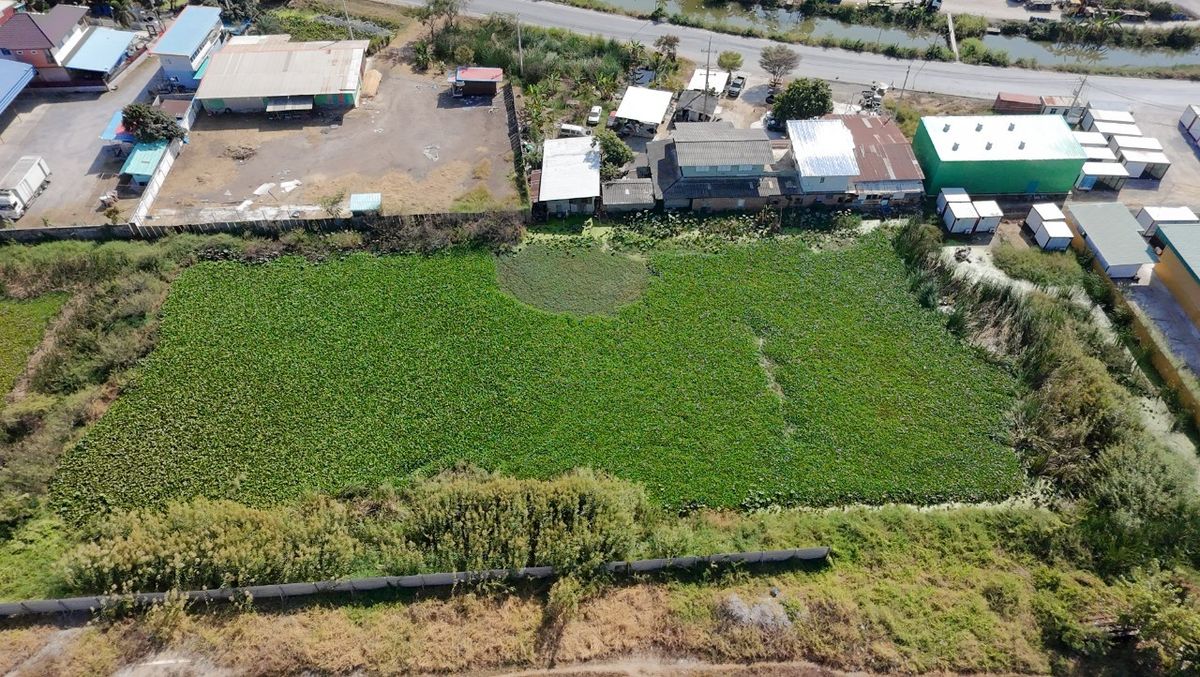 ให้เช่าที่ดินปทุมธานี รังสิต ธรรมศาสตร์ : 🔥 ให้เช่าที่ดิน 200 ตร.ว. ทำเลทอง! ติดถนนคันคลองนครหลวง บางปะอิน - สุดยอดจุดเชื่อมโลจิสติกส์ 4 ภาค ใกล้ทางด่วน! ✨