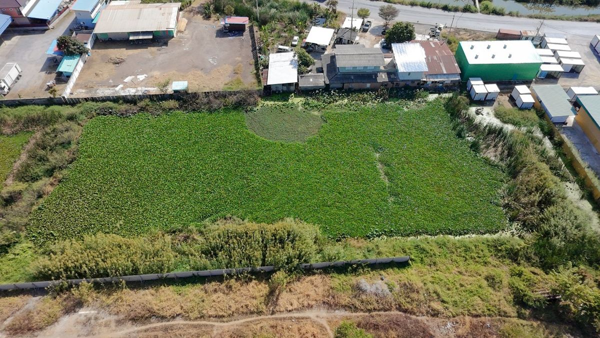 ให้เช่าที่ดินปทุมธานี รังสิต ธรรมศาสตร์ : 🔥 ให้เช่าที่ดิน 200 ตร.ว. ทำเลทอง! ติดถนนคันคลองนครหลวง บางปะอิน - สุดยอดจุดเชื่อมโลจิสติกส์ 4 ภาค ใกล้ทางด่วน! ✨