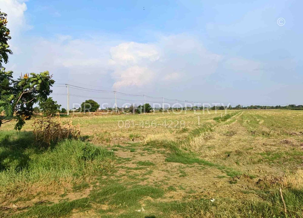 ขายที่ดินฉะเชิงเทรา : ขายที่ดินสวย ติดถนนตลาดปองพล 29-1-0 ไร่ แปลงมุม ติดถนน 2 ด้าน อ.เมือง จ.ฉะเชิงเทรา