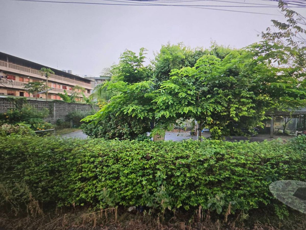 ให้เช่าที่ดินนนทบุรี บางใหญ่ บางบัวทอง : 🔥 โอกาสทอง! ให้เช่าที่ดินทำเลดี ติดถนน ยืดหยุ่นขนาด 1-3 ไร่ ปลายบาง บางกรวย นนทบุรี - เริ่มต้นธุรกิจง่ายๆ ไม่มีค่าหน้าดิน! ✨