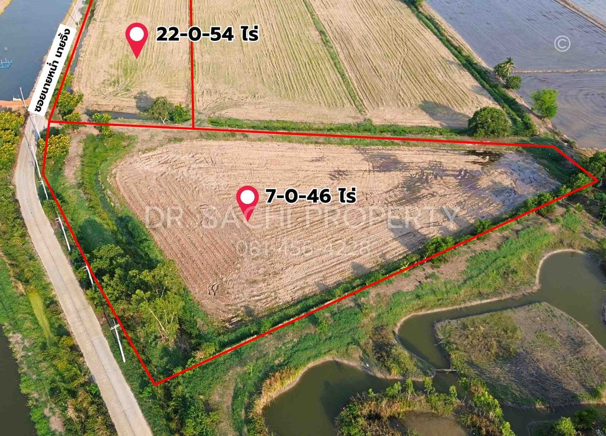 ขายที่ดินฉะเชิงเทรา : ขายที่ดินสวย ติดถนนตลาดปองพล 29-1-0 ไร่ แปลงมุม ติดถนน 2 ด้าน อ.เมือง จ.ฉะเชิงเทรา