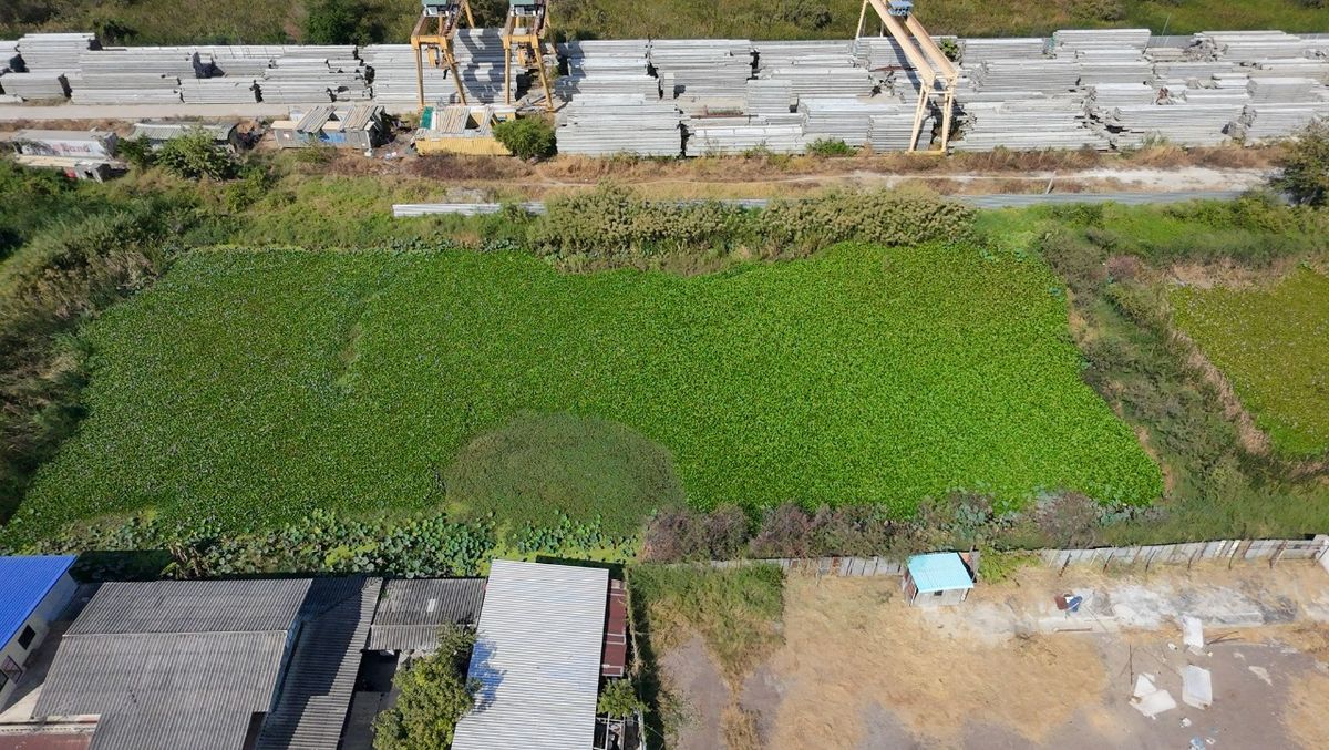 ให้เช่าที่ดินปทุมธานี รังสิต ธรรมศาสตร์ : 🔥 ให้เช่าที่ดิน 200 ตร.ว. ทำเลทอง! ติดถนนคันคลองนครหลวง บางปะอิน - สุดยอดจุดเชื่อมโลจิสติกส์ 4 ภาค ใกล้ทางด่วน! ✨