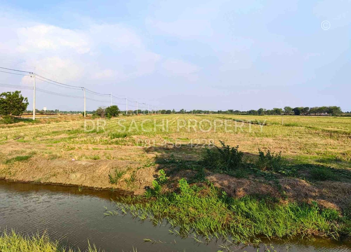 ขายที่ดินฉะเชิงเทรา : ขายที่ดินสวย ติดถนนตลาดปองพล 29-1-0 ไร่ แปลงมุม ติดถนน 2 ด้าน อ.เมือง จ.ฉะเชิงเทรา