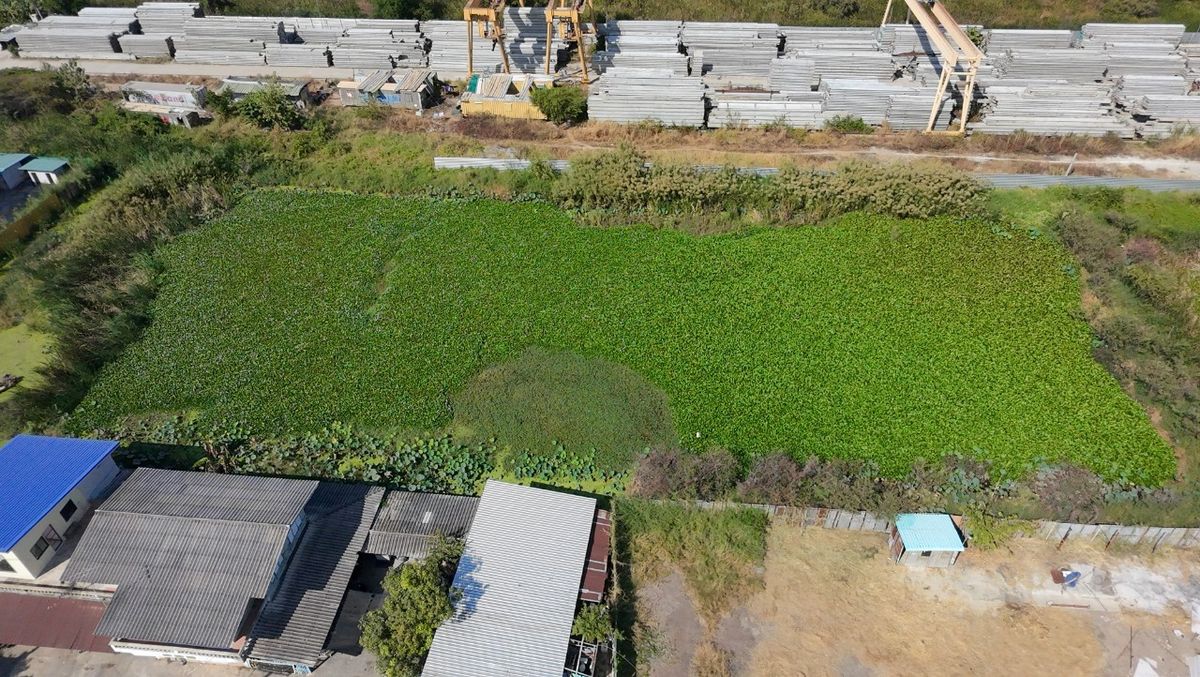 ให้เช่าที่ดินปทุมธานี รังสิต ธรรมศาสตร์ : 🔥 ให้เช่าที่ดิน 200 ตร.ว. ทำเลทอง! ติดถนนคันคลองนครหลวง บางปะอิน - สุดยอดจุดเชื่อมโลจิสติกส์ 4 ภาค ใกล้ทางด่วน! ✨